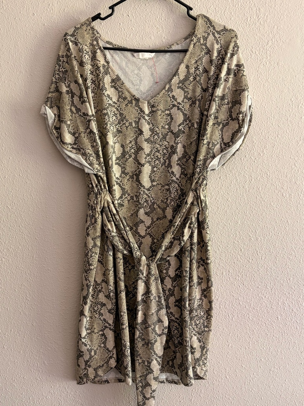 H&M Taupe Snake-Print V-Neck Tie-Waist Dress